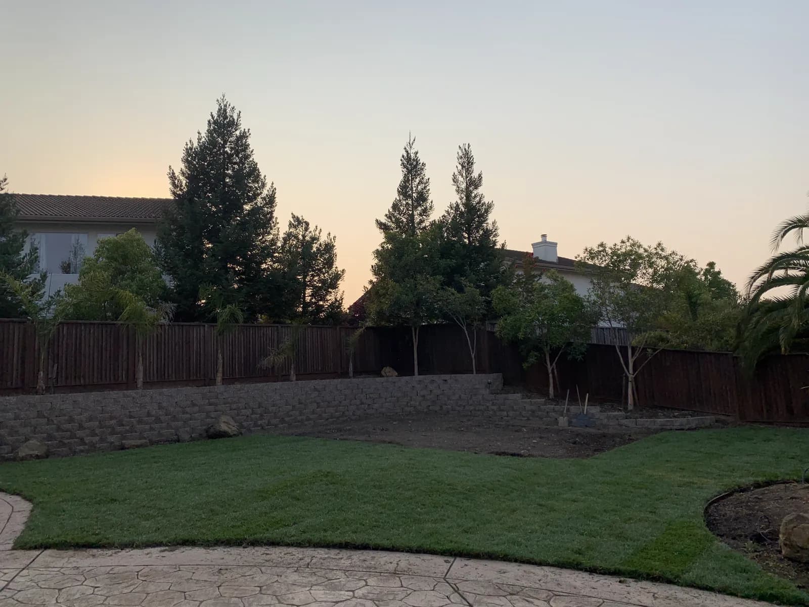 Finished lawn and planted border at dusk