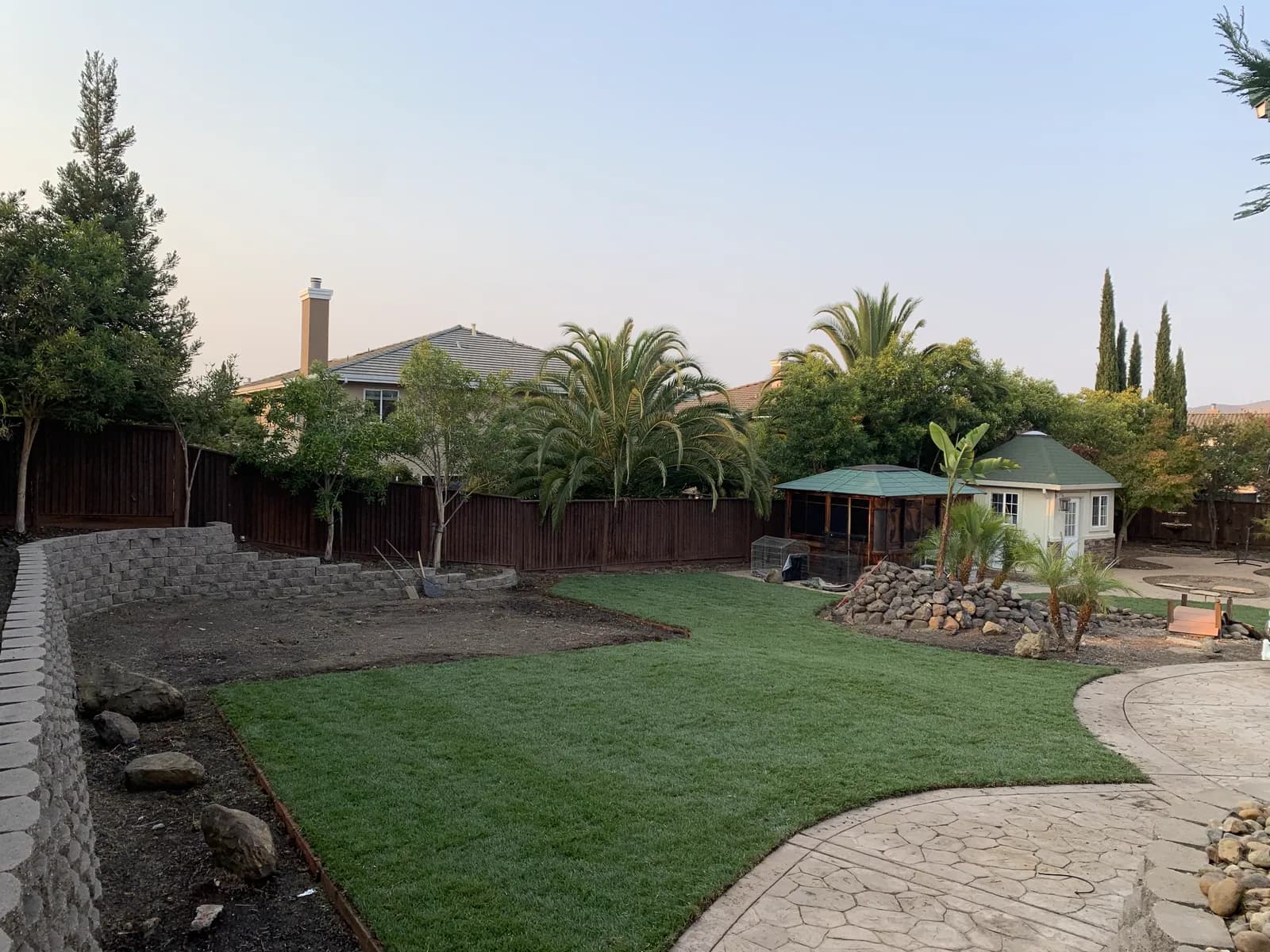 Finished lawn edged in stone with palms and a shade structure