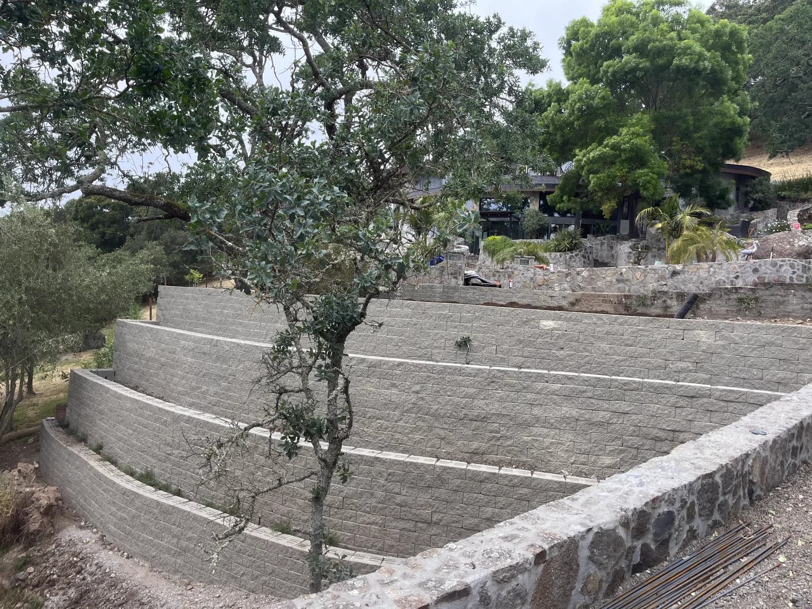 Terraced stone retaining walls beneath a mature oak